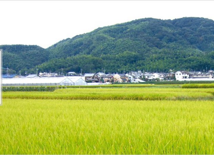 写真タイトル 写真説明